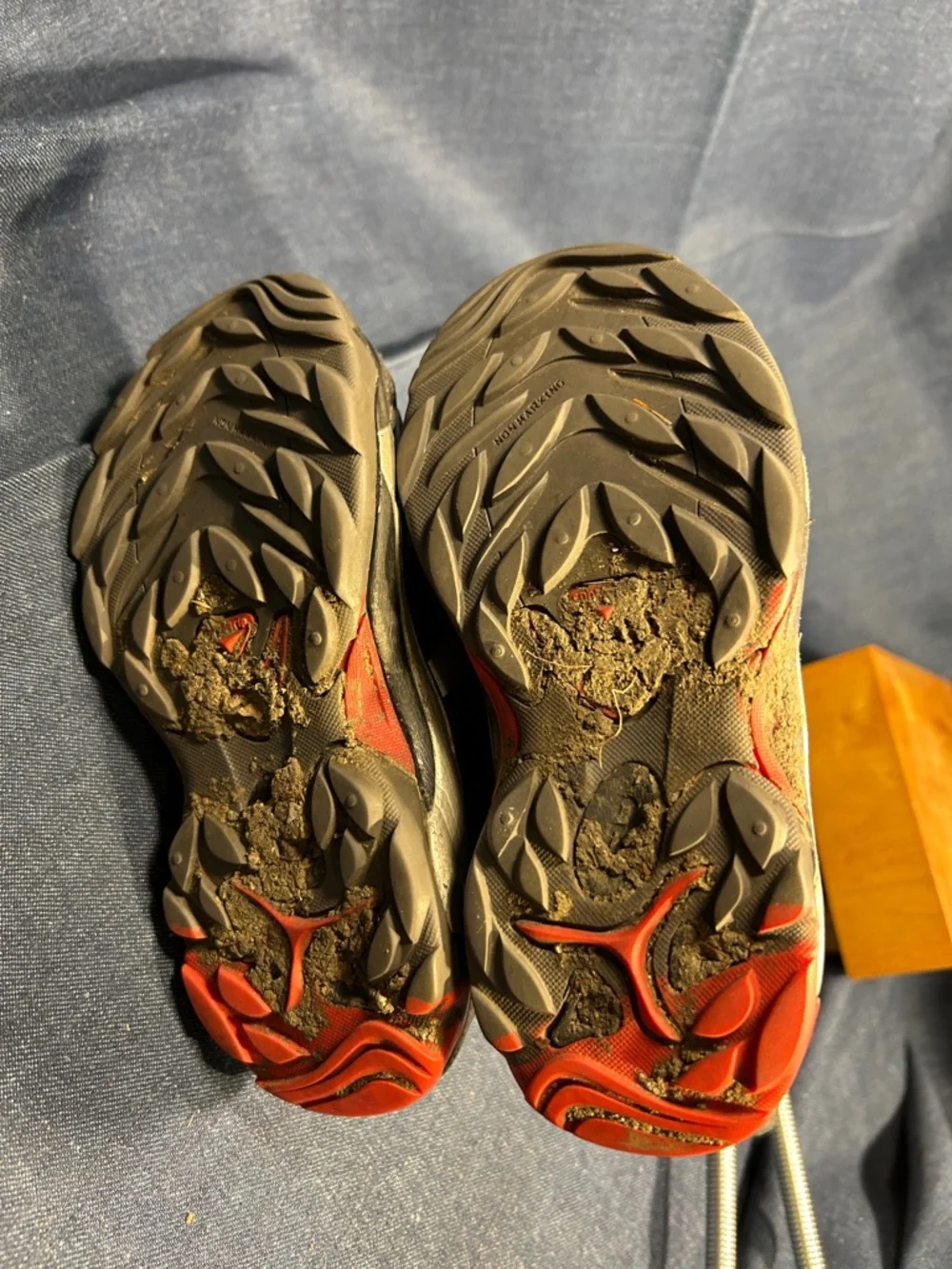 Salomon sneakers